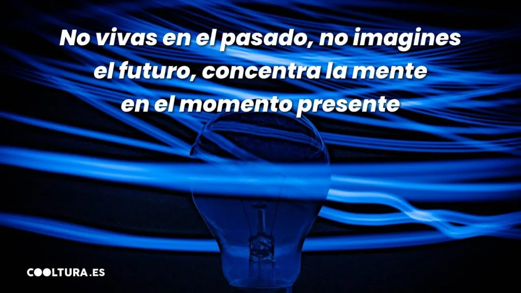 Frases para reflexionar 4 No vivas en el pasado, no imagines el futuro, concentra la mente en el momento presente