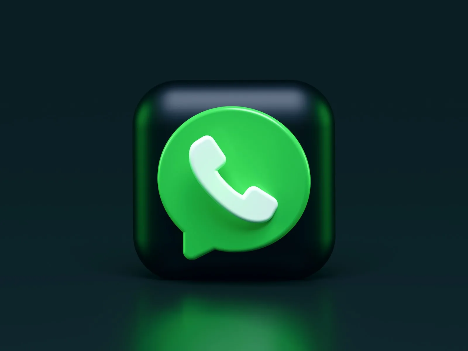 WhatsApp Plus V12